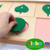 Khay các loại lá,con vật