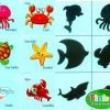 bộ tìm hình và bóng