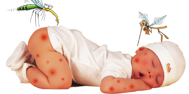 Cách ngăn muỗi tấn công con đơn giản mà hiệu quả không ngờ